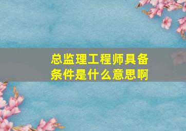 总监理工程师具备条件是什么意思啊