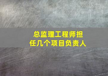 总监理工程师担任几个项目负责人