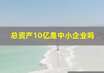 总资产10亿是中小企业吗