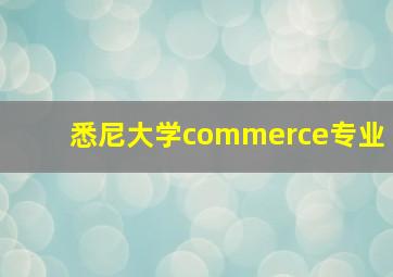 悉尼大学commerce专业