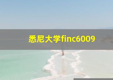 悉尼大学finc6009