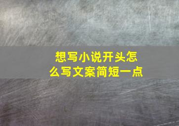 想写小说开头怎么写文案简短一点