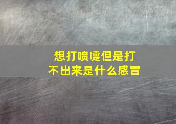 想打喷嚏但是打不出来是什么感冒