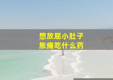 想放屁小肚子胀痛吃什么药