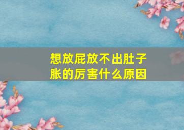 想放屁放不出肚子胀的厉害什么原因