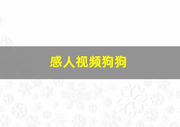 感人视频狗狗