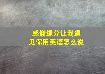 感谢缘分让我遇见你用英语怎么说