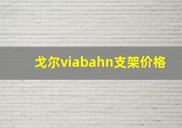 戈尔viabahn支架价格