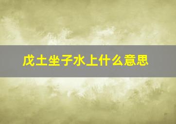 戊土坐子水上什么意思