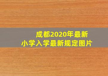 成都2020年最新小学入学最新规定图片