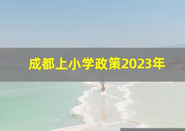 成都上小学政策2023年