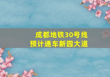 成都地铁30号线预计通车新园大道