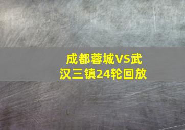 成都蓉城VS武汉三镇24轮回放