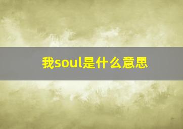 我soul是什么意思