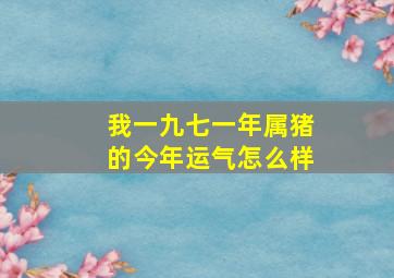 我一九七一年属猪的今年运气怎么样