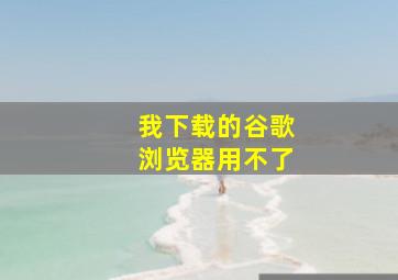 我下载的谷歌浏览器用不了