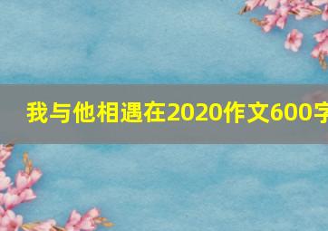 我与他相遇在2020作文600字