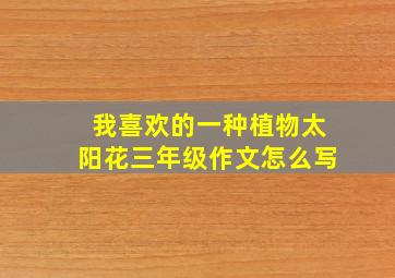 我喜欢的一种植物太阳花三年级作文怎么写