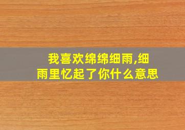 我喜欢绵绵细雨,细雨里忆起了你什么意思