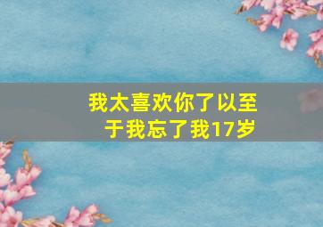 我太喜欢你了以至于我忘了我17岁