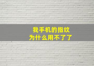 我手机的指纹为什么用不了了