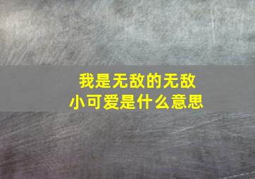 我是无敌的无敌小可爱是什么意思