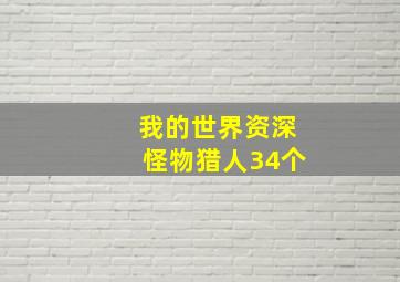 我的世界资深怪物猎人34个