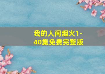 我的人间烟火1-40集免费完整版