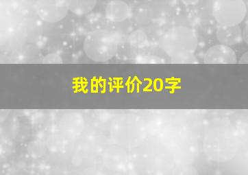 我的评价20字