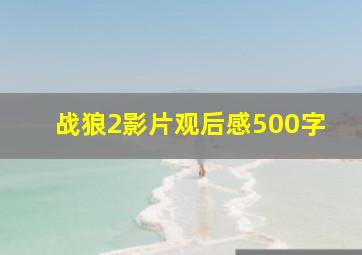 战狼2影片观后感500字