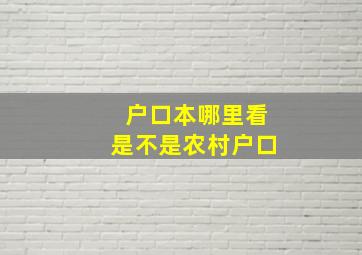 户口本哪里看是不是农村户口