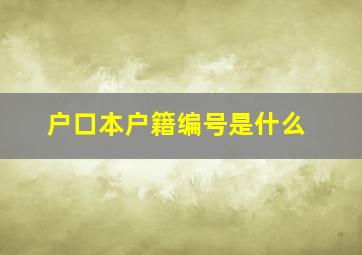 户口本户籍编号是什么