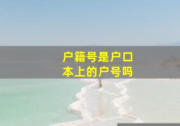 户籍号是户口本上的户号吗