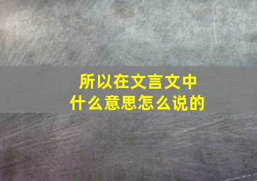 所以在文言文中什么意思怎么说的