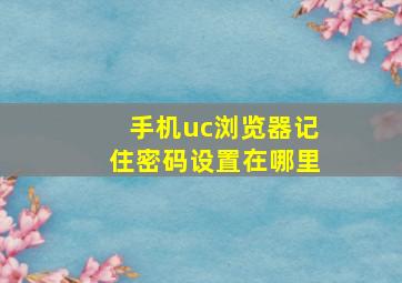 手机uc浏览器记住密码设置在哪里