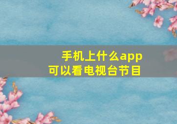 手机上什么app可以看电视台节目