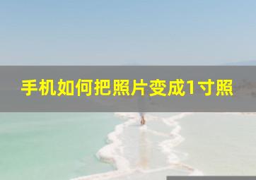 手机如何把照片变成1寸照