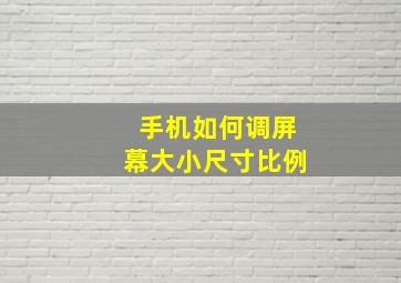 手机如何调屏幕大小尺寸比例