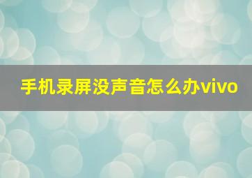 手机录屏没声音怎么办vivo