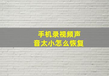 手机录视频声音太小怎么恢复