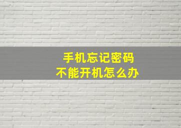 手机忘记密码不能开机怎么办