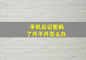 手机忘记密码了开不开怎么办