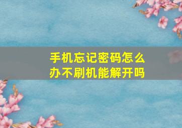 手机忘记密码怎么办不刷机能解开吗