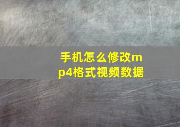 手机怎么修改mp4格式视频数据