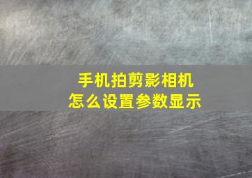 手机拍剪影相机怎么设置参数显示