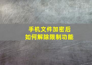 手机文件加密后如何解除限制功能