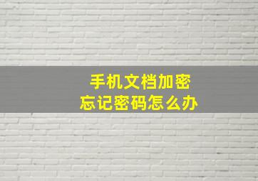 手机文档加密忘记密码怎么办