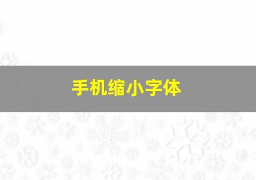 手机缩小字体