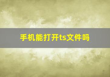 手机能打开ts文件吗