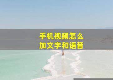 手机视频怎么加文字和语音